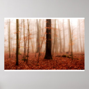 Poster Floresta snowless do inverno nevoento vermelho