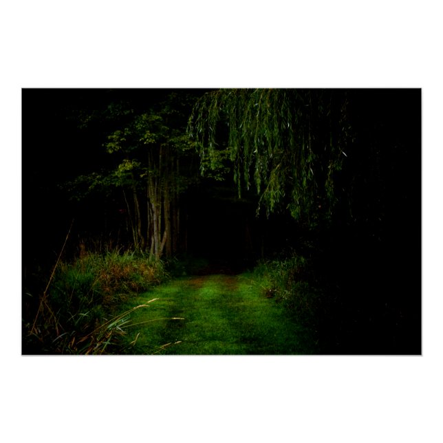 Póster Floresta Spooky (Frente)