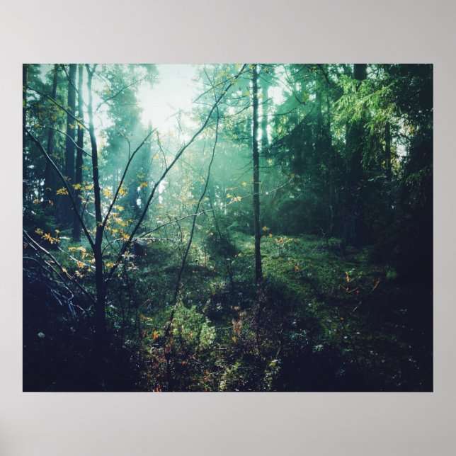 Póster Floresta Sueca (Frente)