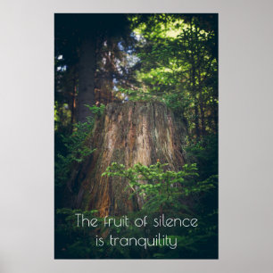 Poster Floresta tranquila de verão