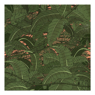Póster Floresta Tropical da Selva