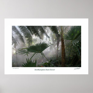 Póster Floresta tropical de Northampton mim