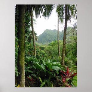Póster Floresta tropical tropical havaiana