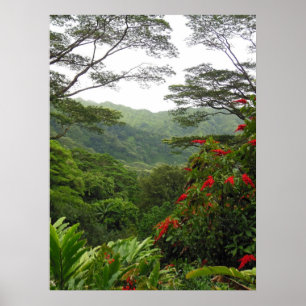 Póster Floresta tropical tropical havaiana