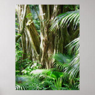 Póster Floresta tropical tropical havaiana