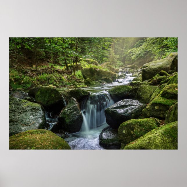 Poster Floresta Verde e Rio (Frente)