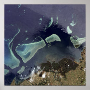 Poster Floresta verde profunda em terra