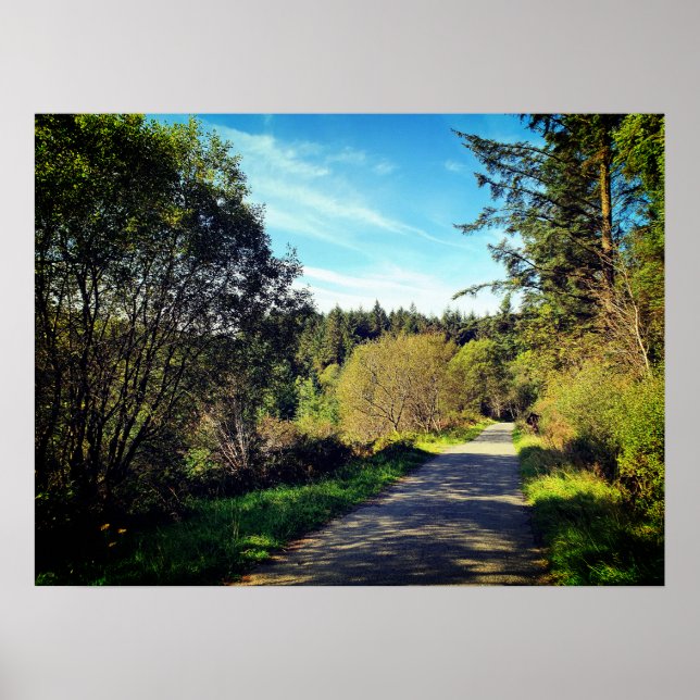 Poster Florestas ao longo da caminhada Belo dia Poste (Frente)