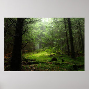 Poster Florestas   Auvergne França
