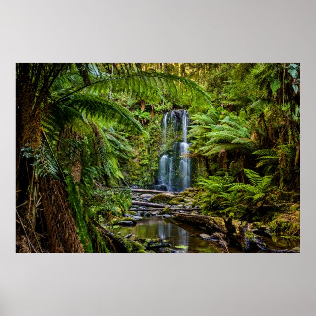 Poster Florestas | Beauchamp Falls Austrália (Frente)
