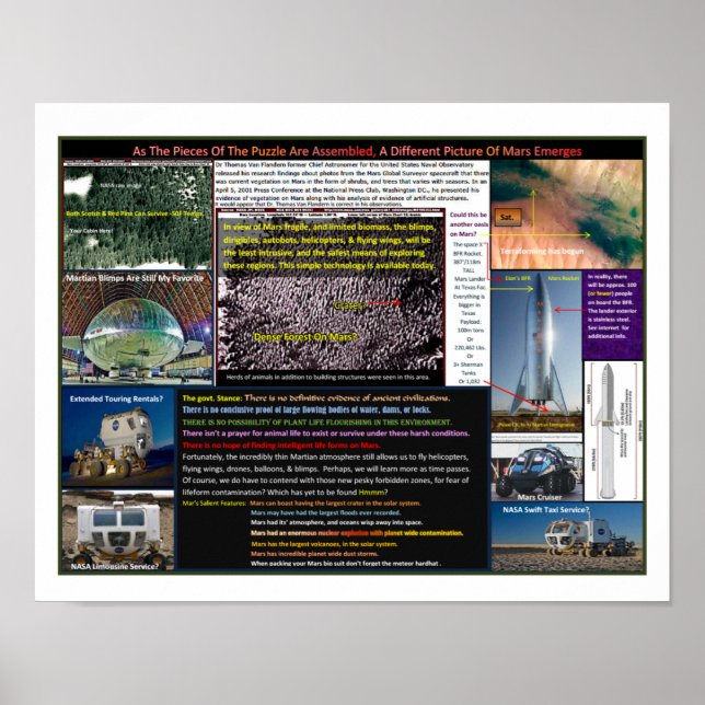 Poster Florestas de Mar (Frente)