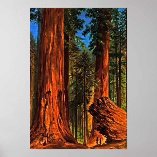 Poster Florestas de Sequoia Gigantes de Yosemite Valley C (Frente)