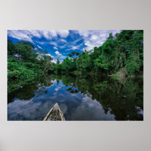 Poster Florestas   Floresta Selvagem Peruana