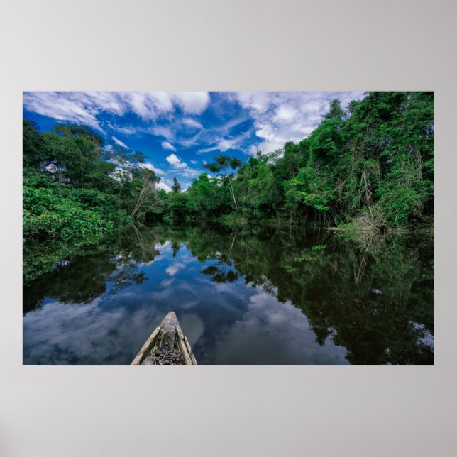 Poster Florestas | Floresta Selvagem Peruana (Frente)
