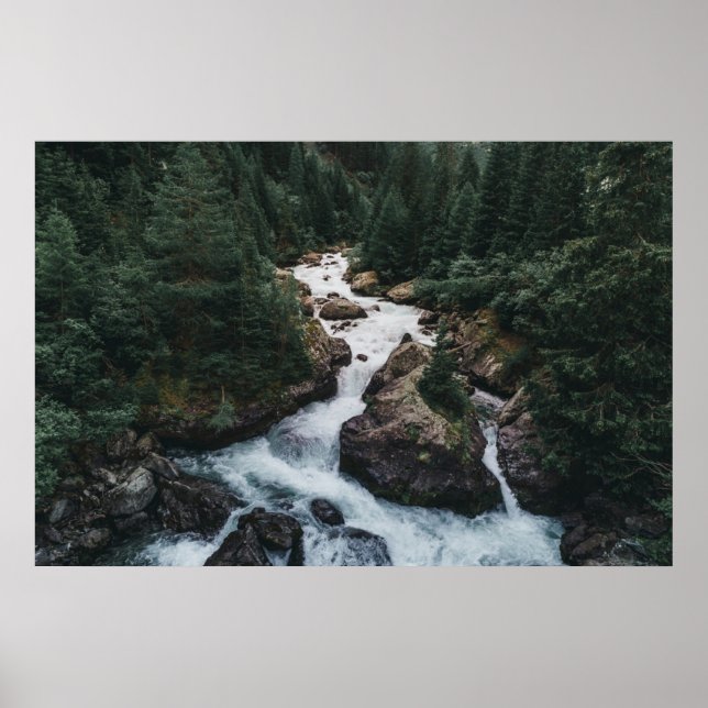 Poster Florestas | Grison Graubunden Canton (Frente)