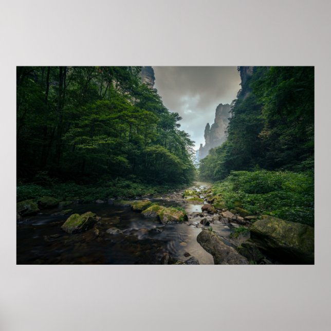 Poster Florestas | Parque Nacional Florestal Zhangjiajie (Frente)