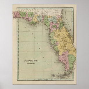 Póster Florida 10