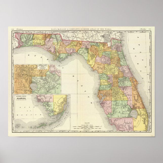 Póster Flórida 11 (Frente)