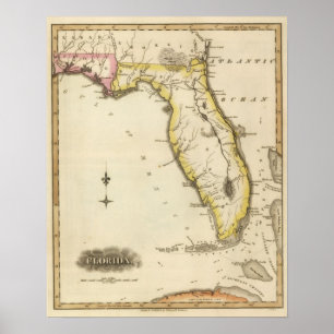 Póster Florida 9