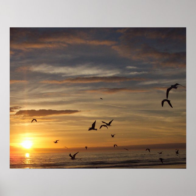 Póster Florida Beach Sunset com Birds (Frente)