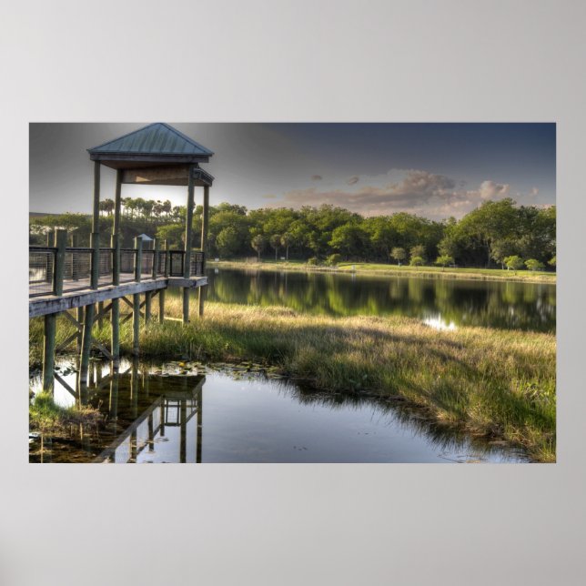 Poster Florida Everglades (Frente)