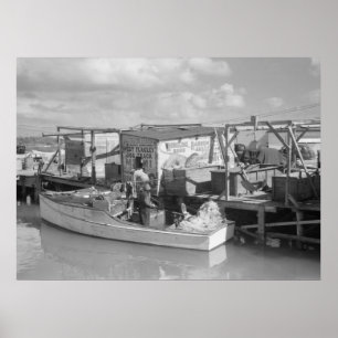 Poster Florida fecha a pesca, 1938