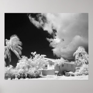 Poster Florida Keys house and its palm trees, USA.