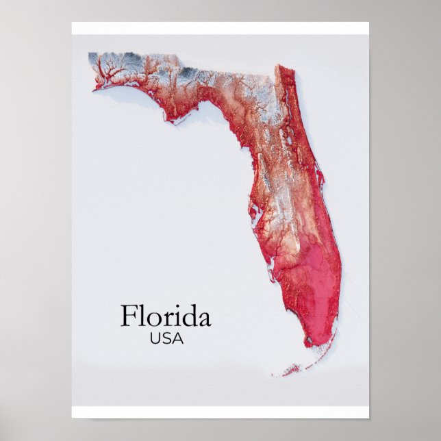 Poster Florida Relief Map Red Texture (Frente)