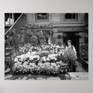 Póster Florista de New York, 1895. Foto do vintage