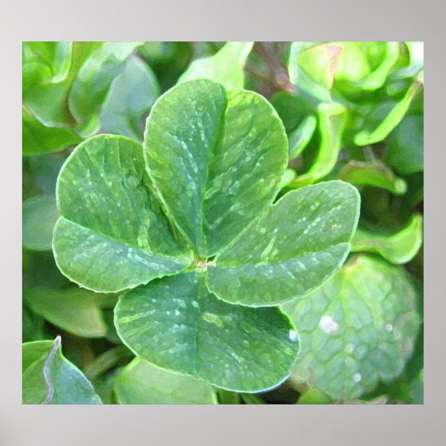 PÓSTER FLOVER DE QUATRO FOLHAS (Frente)