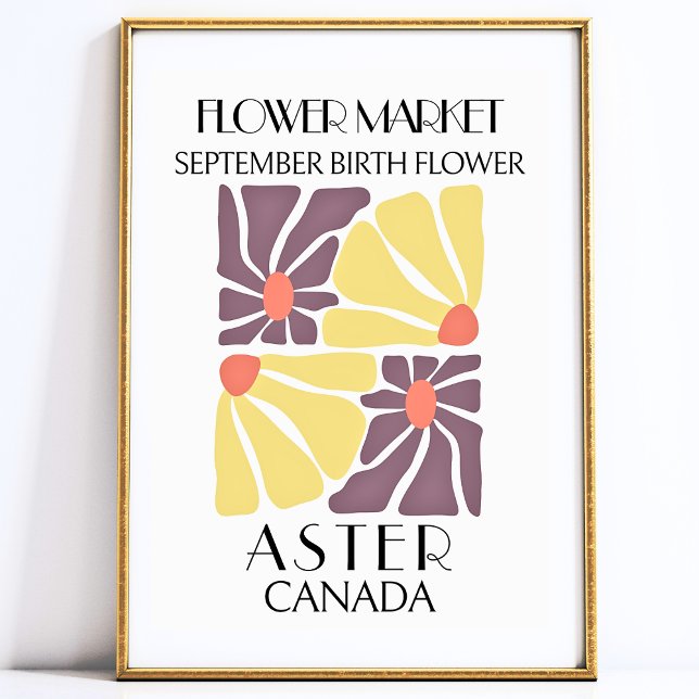 Poster Flower Market Birth, floração, SETEMBRO Art Impres (September Birth Flower ASTER Art Print)