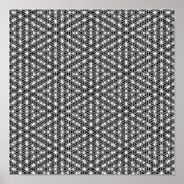 Póster Flower Of Life Intricate Weave #2 (Frente)