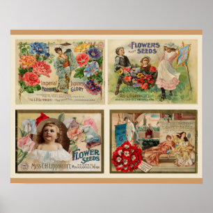 Poster Flower Seeds Vintage Collage