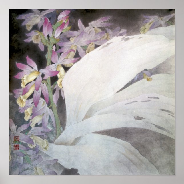 Póster Flower Seires II - Phaius (Frente)