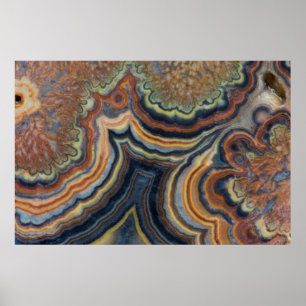 Póster Flowering tube onyx