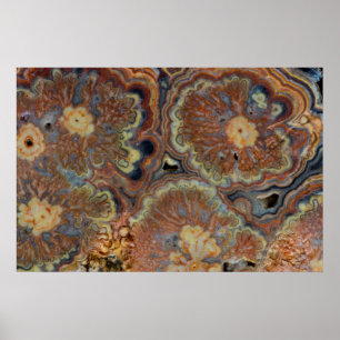 Poster Flowering Tube Onyx