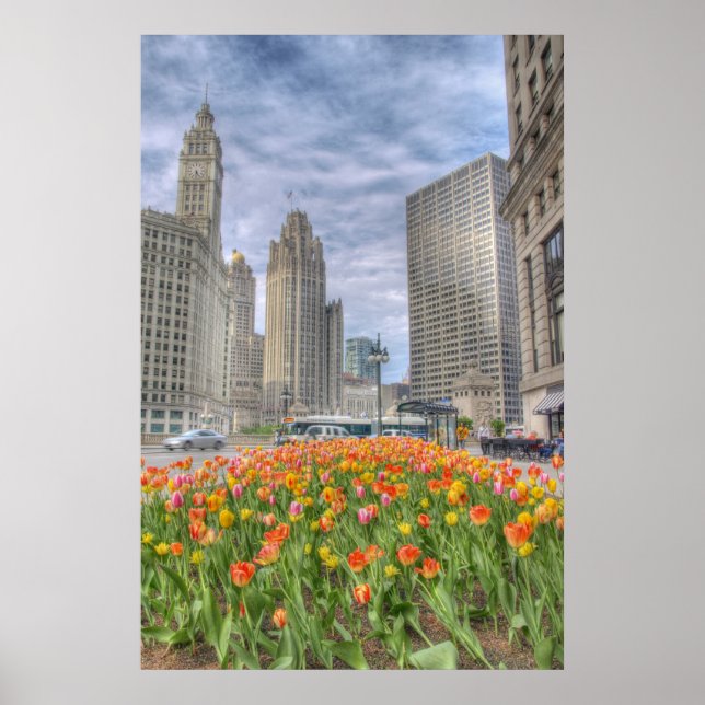 Póster Flowers in Chicago (Frente)