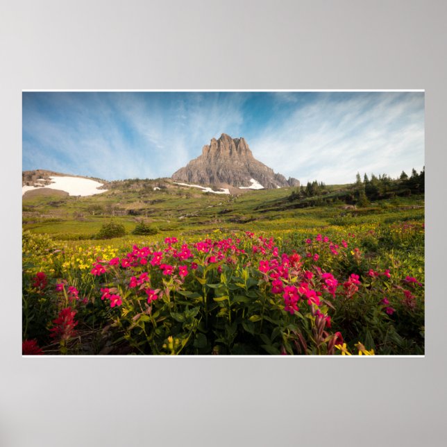 Poster Flowers | Montana's Glacier National Park (Frente)
