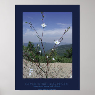 Póster FLowers of the Sierra Nevadas