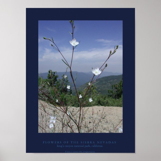 Póster FLowers of the Sierra Nevadas (Frente)