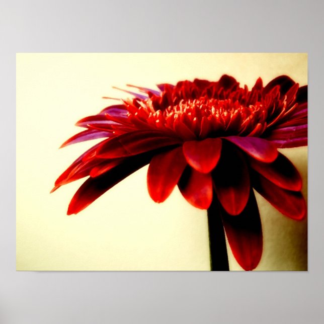 POSTER FLOWERSERIES-007 (Frente)