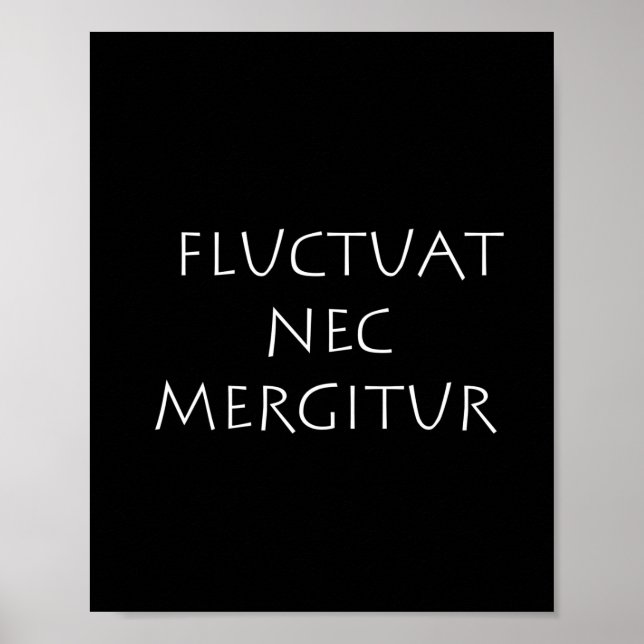 Poster Fluctuat nec mergitur (Frente)