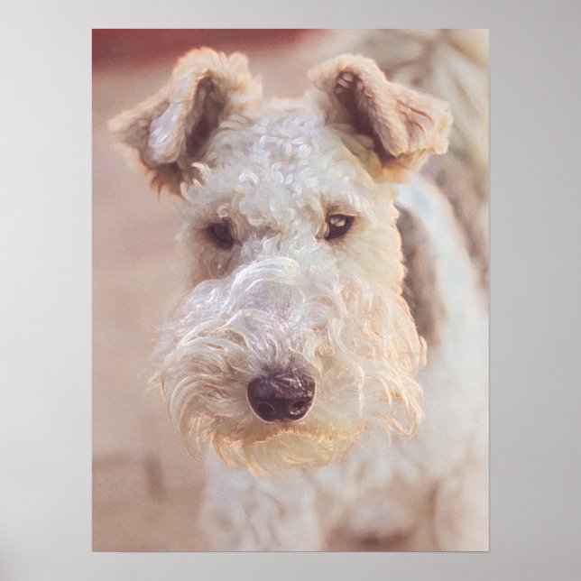 Poster Fluffy Airedale Welsh Terrier Tipo Cãozinho (Frente)