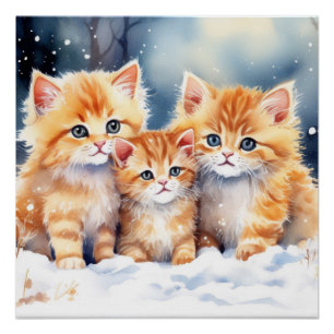 Póster Fluffy Ginger Kittens