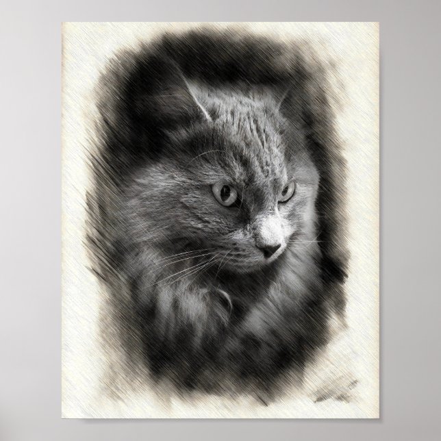 Poster Fluffy Gray Cat Sketch - Soft Feline Portrait Art  (Frente)