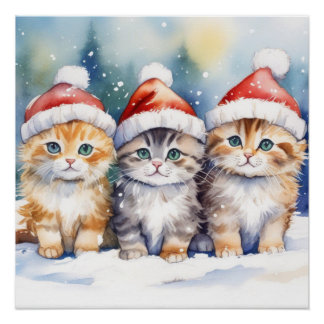 Póster Fluffy Kittens