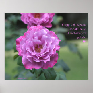 Poster Fluffy Pink Roses: ROSA e PROSE 20x16