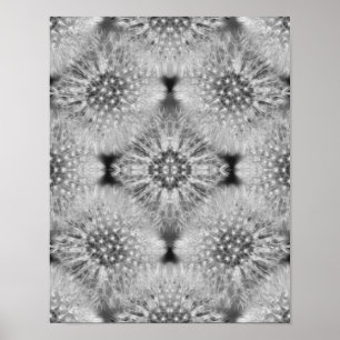 Poster Fluffy White Dandelions Abstrato Nature