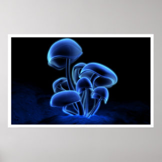 Póster Fluorescência