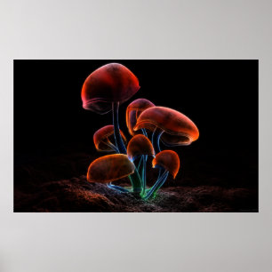 Póster Fluorescência (2009)